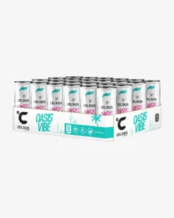 Celsius Flak 24-pack