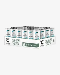 Celsius Flak 24-pack