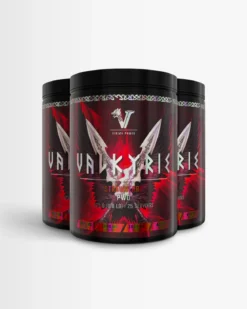 3st Valkyrie PWO